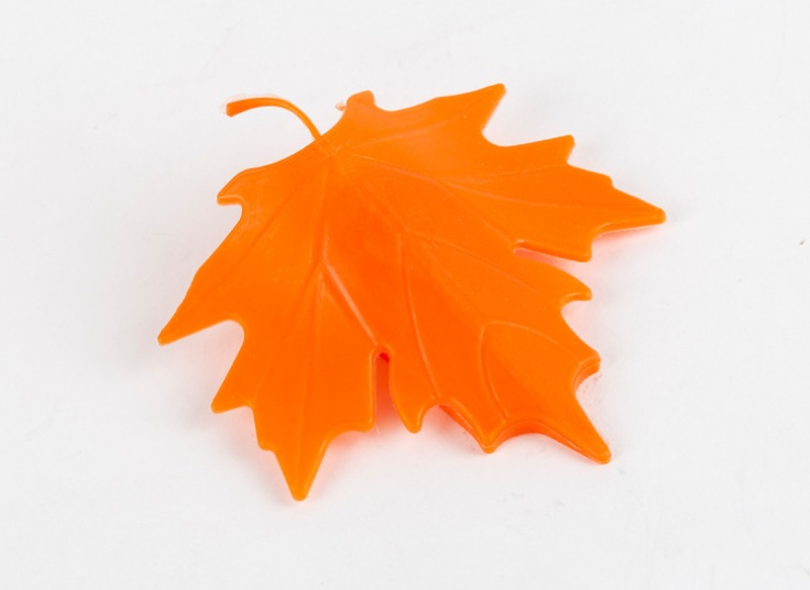 پادری طرح برگ