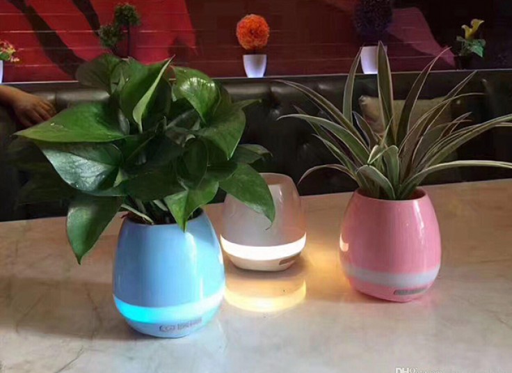 اسپیکر بلوتوث و گلدان موزیکال SMART