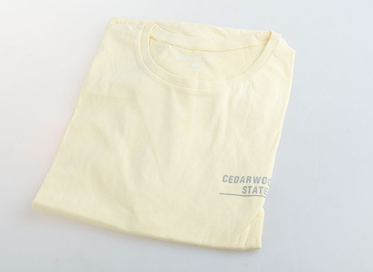 تیشرت مردانه Cedarwood State