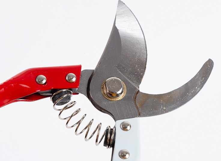 قیچی مخصوص باغبانی