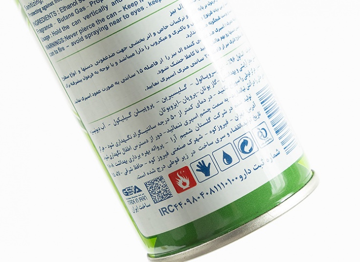 اسپری ضدعفونی کننده دست LBIZ