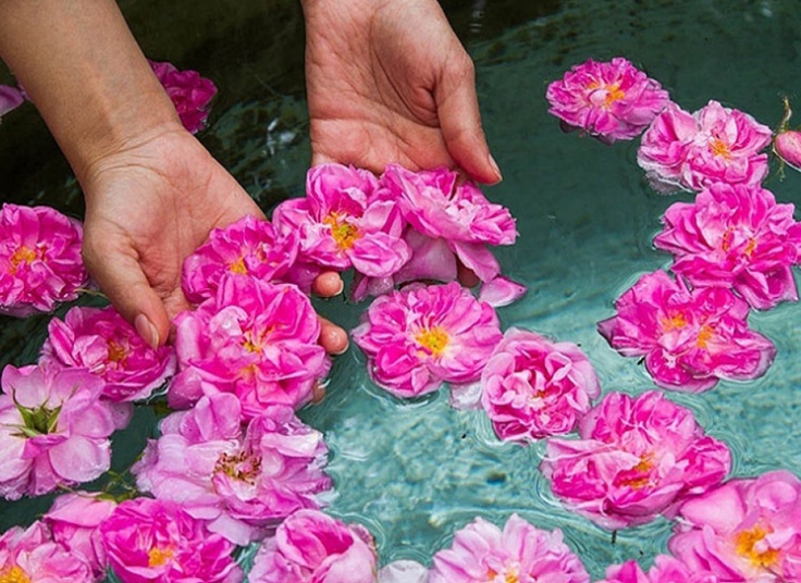 تور یک روزه کاشان آژانس شال و کلاه سفر