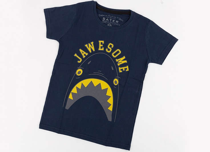 تیشرت آستین کوتاه پسرانه