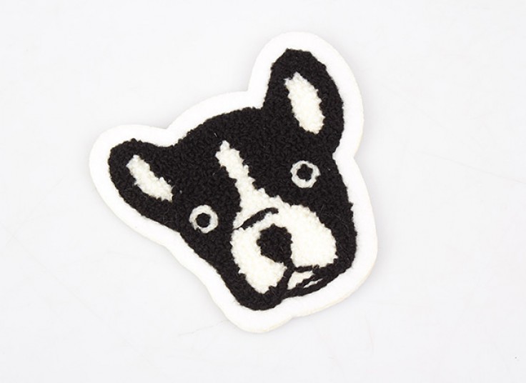 انواع استیکر لباس