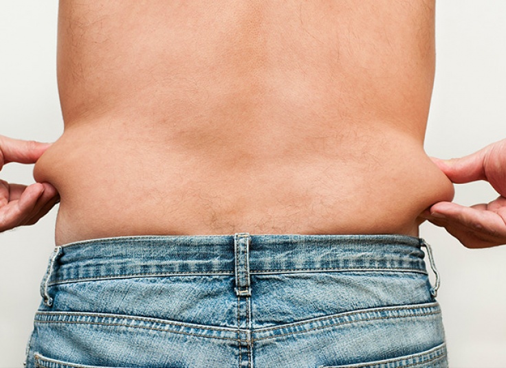 کویتیشن در مرکز هیرلس