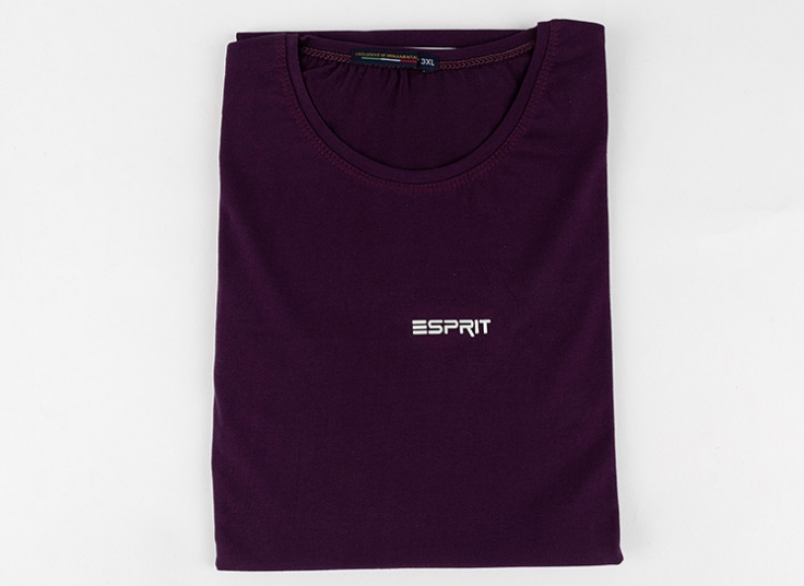 تیشرت رنگی مردانه Esprit