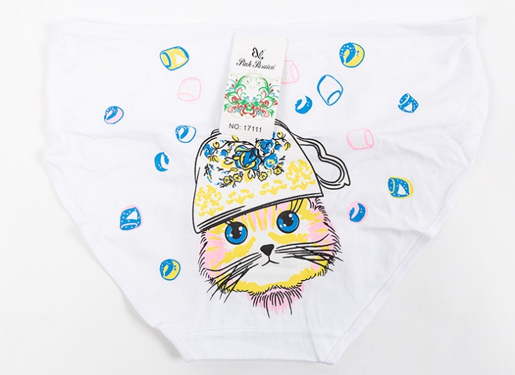 لباس زیر زنانه Pink Pasuion