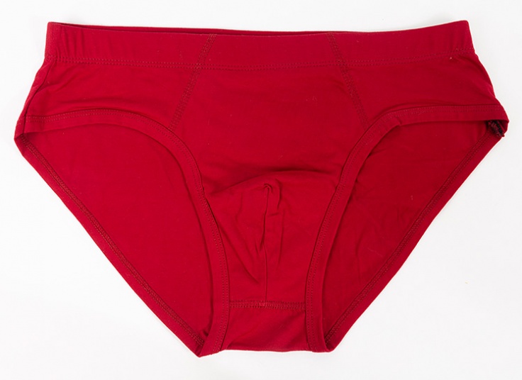 لباس زیر مردانه اسلیپ