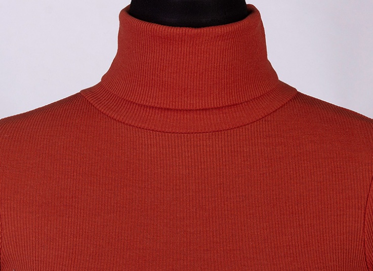 بلوز یقه اسکی زنانه ROLY