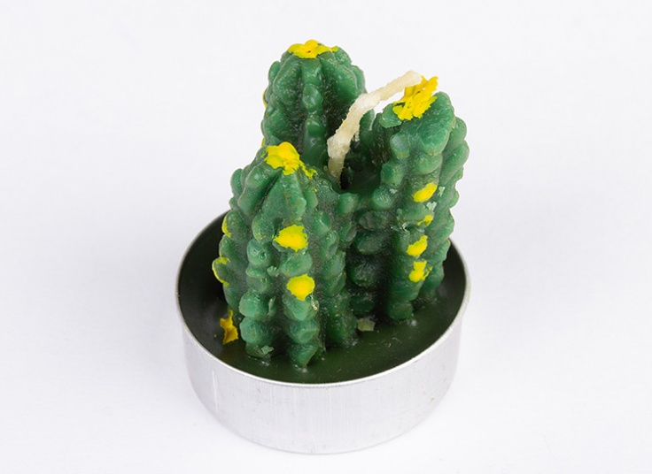 شمع تزئینی طرح کاکتوس