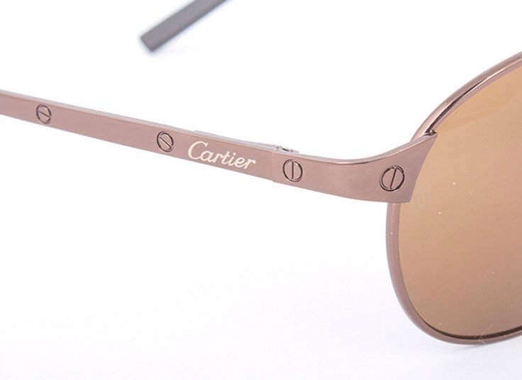 عینک Cartier مدل Santos