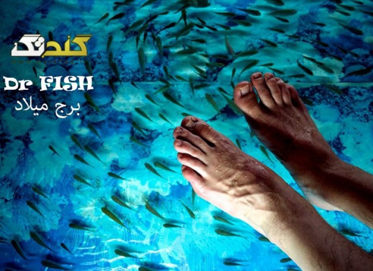 دکتر فیش برج میلاد