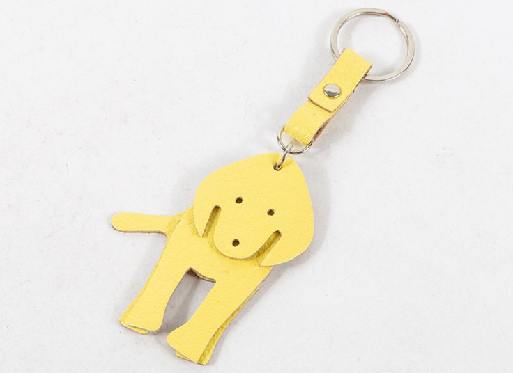 جاسوئیچی چرم