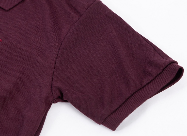 پولوشرت مردانه Ralph Lauren