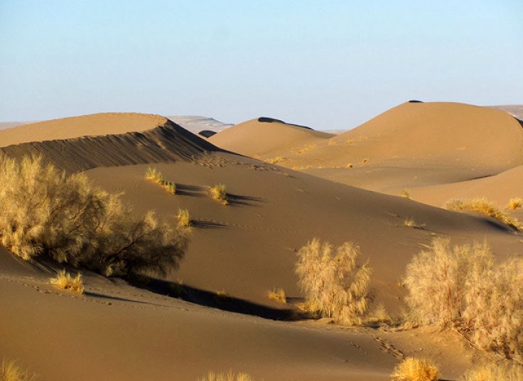 تورهای آژانس مسافرتی اکسیرگشت سفر