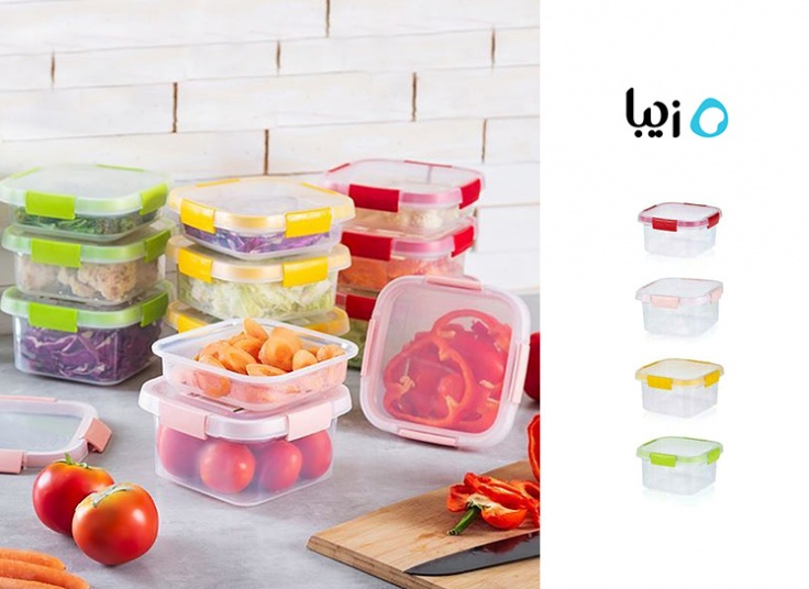 ظرف نگهدارنده Ziba