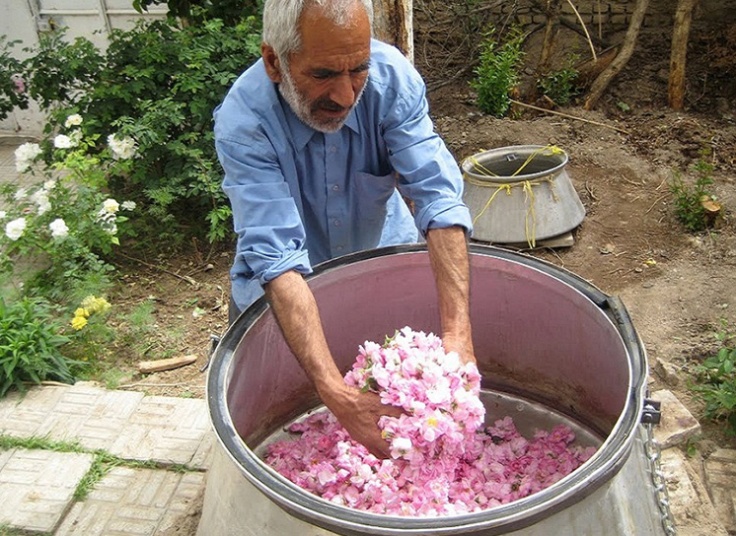 تور یک روزه کاشان آژانس شال و کلاه سفر