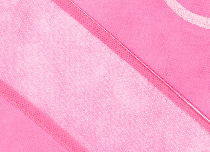 کاور کفش مسافرتی My Home