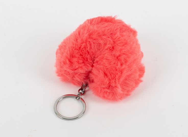 جا سوئیچی خز