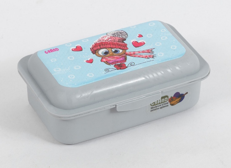 ظرف غذای دو خانه Grand