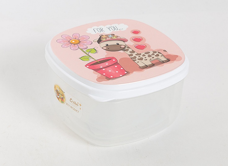 ست 4عددی ظرف غذا بارانا ziba