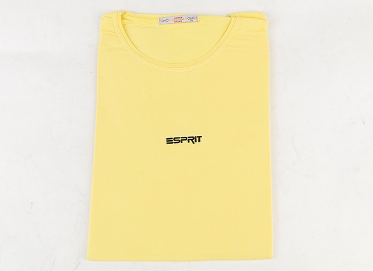 تیشرت رنگی مردانه Esprit