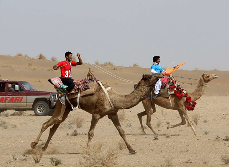 تورهای آژانس مسافرتی اکسیرگشت سفر