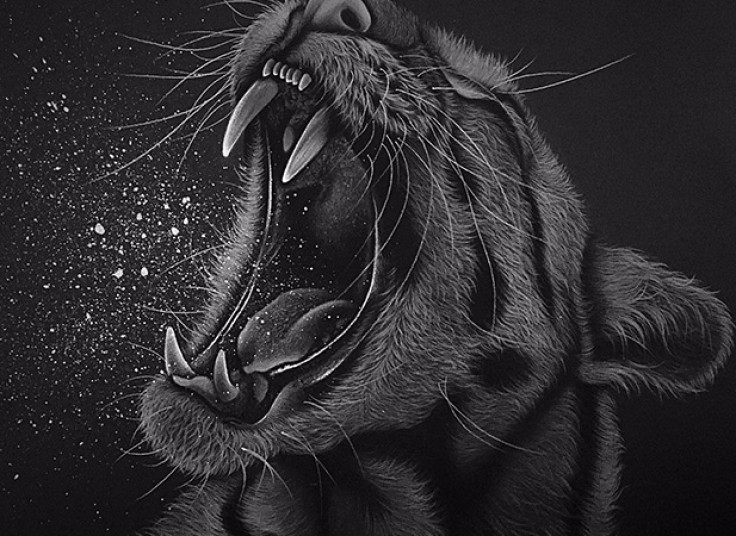 آموزشگاه تخصصی طراحی و نقاشی ژيكس