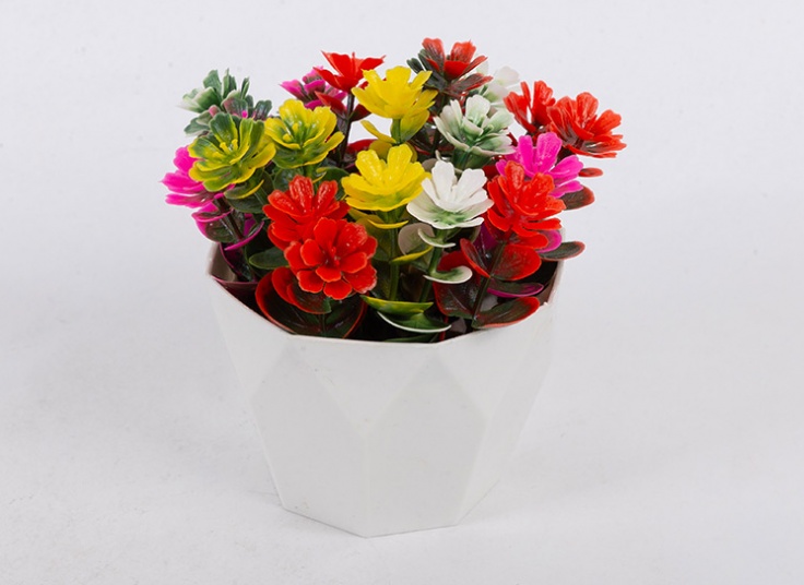 گلدان تزئینی شمشاد