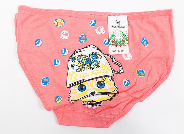 لباس زیر زنانه Pink Pasuion