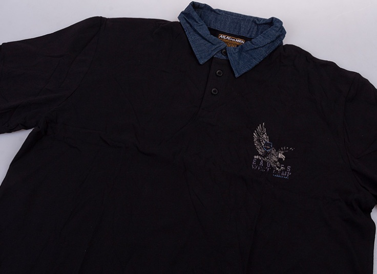 پولوشرت آستین بلند مردانه ATLAS