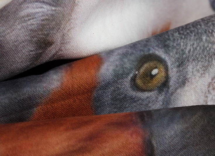 کاور کوسن POPARTCI