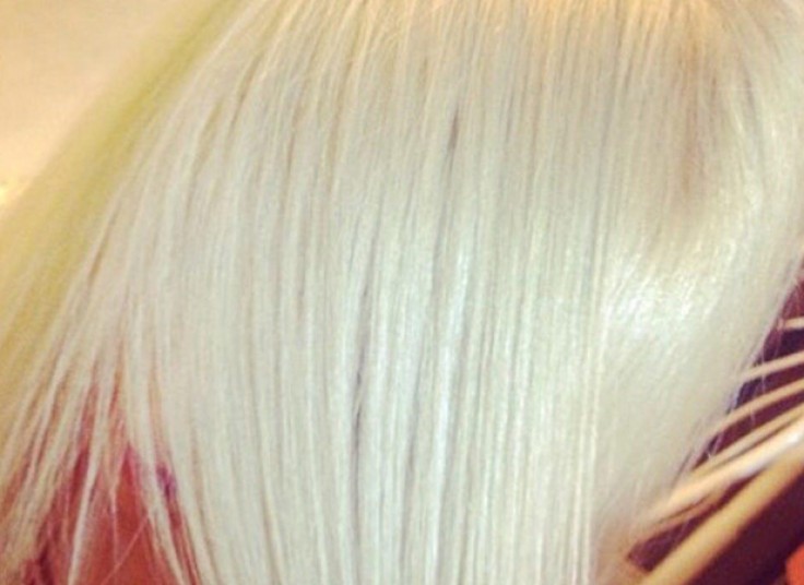 خدمات رنگ و مش فرشته