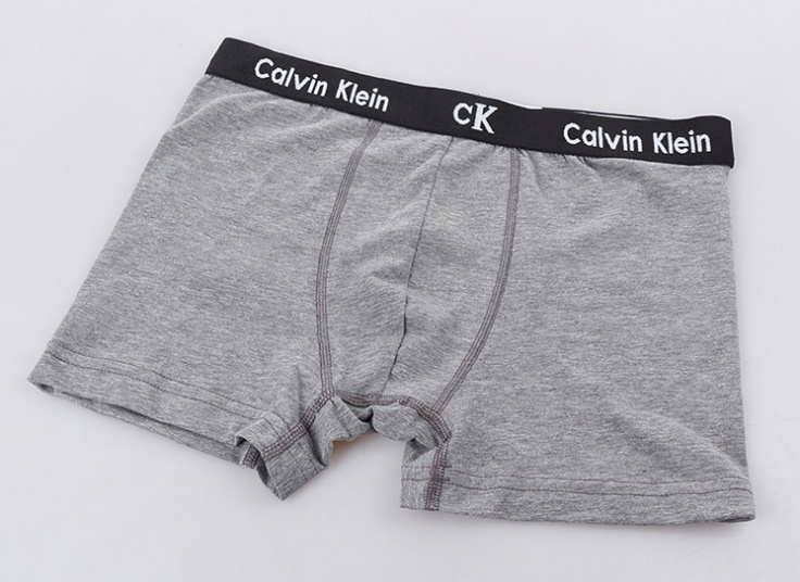 لباس زیر مردانه باکسر Calvin Klein