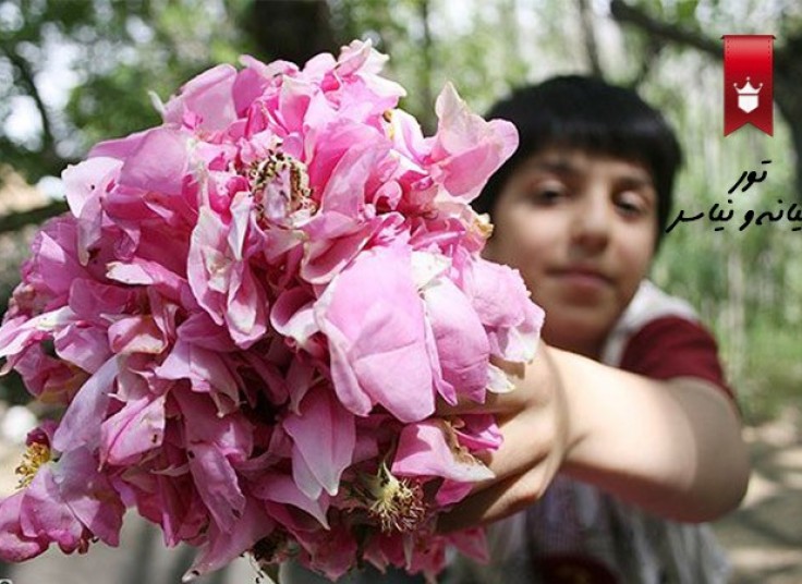 تخفیف ۳۰ درصدی تور یکروزه نیاسر و ابیانه