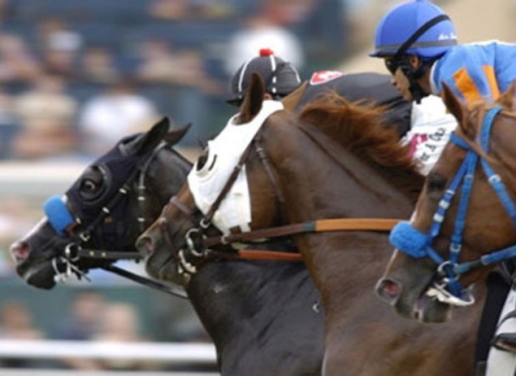 تور یک روزه آموزش حرفه ای سوارکاری