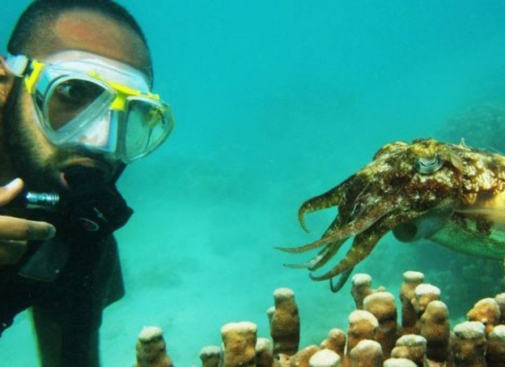 تخفیف   20  درصدی غواصی در کلوب ساحلی مارینا کیش