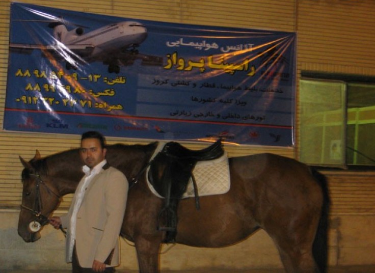 تور یک روزه آموزش حرفه ای سوارکاری