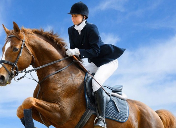 تور یک روزه آموزش حرفه ای سوارکاری