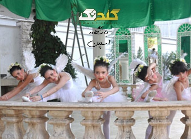 تخفیف ۴۱ درصدی مدرسه باله و اسکیت اسپین