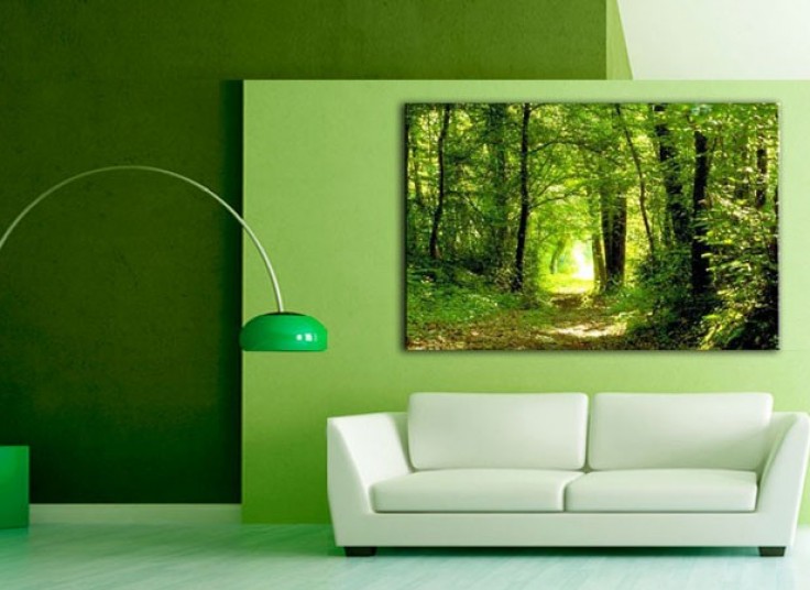 تخفیف  ۵۰ درصدی لابراتوار نور و تصویر